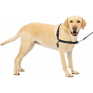 PetSafe Easy Walk Dog Harness, Black/Silver, Large slide 7 of 7
