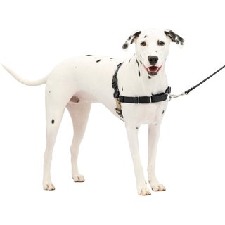 PetSafe Easy Walk Dog Harness, Black/Silver, Medium/Large slide 1 of 8