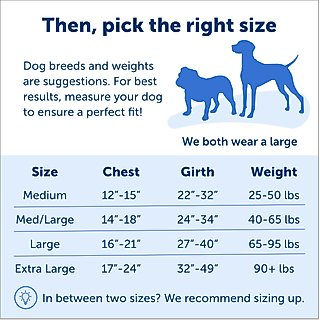 PetSafe Easy Walk Dog Harness, Black/Silver, Medium/Large slide 5 of 8
