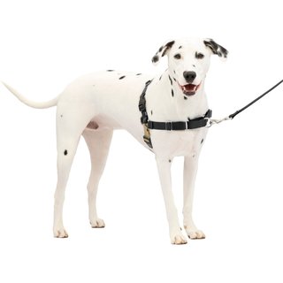 PetSafe Easy Walk Dog Harness, Black/Silver, Medium/Large slide 7 of 8
