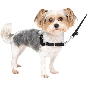 WildHound C4 No-Pull Premium Dog Harness