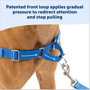 PetSafe Easy Walk Dog Harness, Royal Blue/Navy, Large