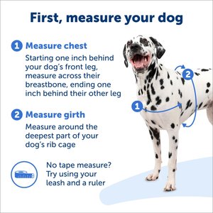 PetSafe Easy Walk Dog Harness, Royal Blue/Navy, Large