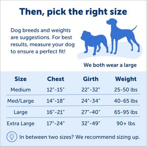 PetSafe Easy Walk Dog Harness, Royal Blue/Navy, Large