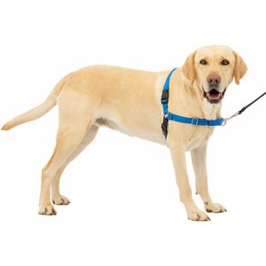 PetSafe Easy Walk Dog Harness, Royal Blue/Navy, Large
