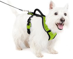 PetSafe EasySport Nylon Reflective Back Clip Dog Harness, Apple, Small: 21 to 27-in chest