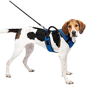 PetSafe EasySport Nylon Reflective Back Clip Dog Harness, Blue, Large: 29 to 43-in chest