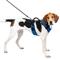 Show in main carousel: PetSafe EasySport Nylon Reflective Back Clip Dog Harness, Blue, Large: 29 to 43-in chest slide 1 of 13