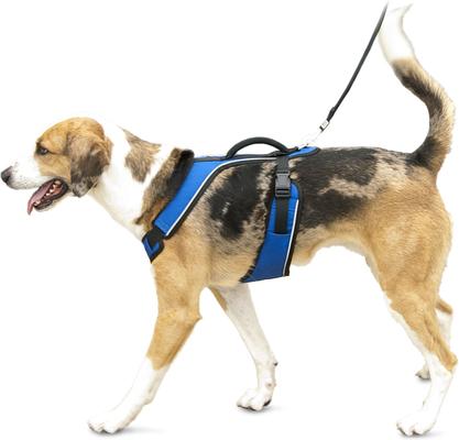 Show full view: PetSafe EasySport Nylon Reflective Back Clip Dog Harness, Blue, Large: 29 to 43-in chest slide 8 of 13