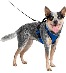 PetSafe EasySport Nylon Reflective Back Clip Dog Harness, Blue, Medium: 26 to 32-in chest