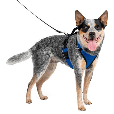 PetSafe PetSafe EasySport Nylon Reflective Back Clip Dog Harness, Blue, Medium: 26 to 32-in chest