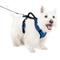 Show in main carousel: PetSafe EasySport Nylon Reflective Back Clip Dog Harness, Blue, Small: 21 to 27-in chest slide 1 of 12