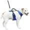Show in main carousel: PetSafe EasySport Nylon Reflective Back Clip Dog Harness, Blue, Small: 21 to 27-in chest slide 7 of 12