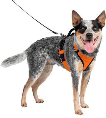 Show full view: PetSafe EasySport Nylon Reflective Back Clip Dog Harness, Orange, Medium: 26 to 32-in chest slide 1 of 11