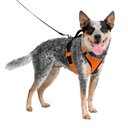 PetSafe EasySport Nylon Reflective Back Clip Dog Harness, Orange, Medium: 26 to 32-in chest