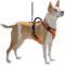 Show in main carousel: PetSafe EasySport Nylon Reflective Back Clip Dog Harness, Orange, Medium: 26 to 32-in chest slide 8 of 11