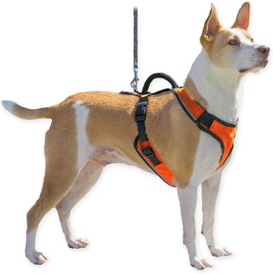 Show full view: PetSafe EasySport Nylon Reflective Back Clip Dog Harness, Orange, Medium: 26 to 32-in chest slide 8 of 11