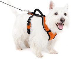 PetSafe EasySport Nylon Reflective Back Clip Dog Harness, Orange, Small: 21 to 27-in chest