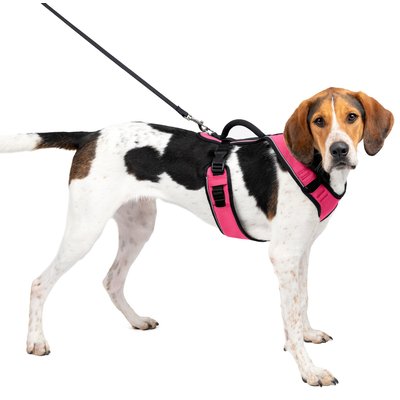 PetSafe PetSafe EasySport Nylon Reflective Back Clip Dog Harness, Pink, Large: 29 to 43-in chest