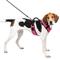 Show in main carousel: PetSafe EasySport Nylon Reflective Back Clip Dog Harness, Pink, Large: 29 to 43-in chest slide 1 of 11