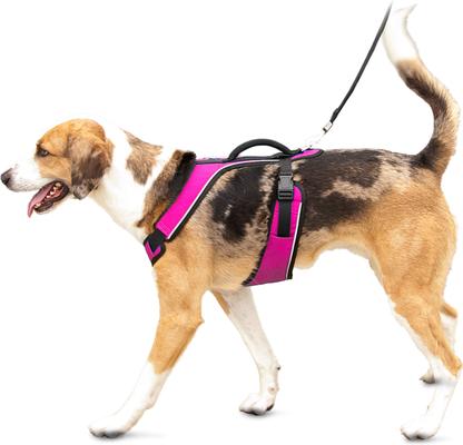 Show full view: PetSafe EasySport Nylon Reflective Back Clip Dog Harness, Pink, Large: 29 to 43-in chest slide 7 of 11