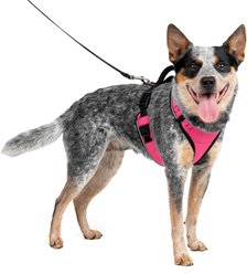 PetSafe EasySport Nylon Reflective Back Clip Dog Harness, Pink, Medium: 26 to 32-in chest