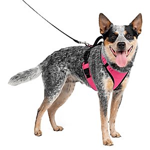 PetSafe EasySport Nylon Reflective Back Clip Dog Harness, Pink, Medium: 26 to 32-in chest