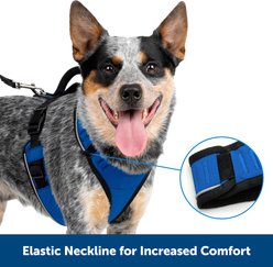 PetSafe EasySport Nylon Reflective Back Clip Dog Harness, Pink, Medium: 26 to 32-in chest slide 2 of 8