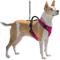 Show in main carousel: PetSafe EasySport Nylon Reflective Back Clip Dog Harness, Pink, Medium: 26 to 32-in chest slide 7 of 11