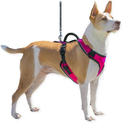 Show full view: PetSafe EasySport Nylon Reflective Back Clip Dog Harness, Pink, Medium: 26 to 32-in chest slide 7 of 11