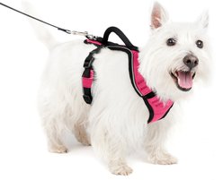 PetSafe EasySport Nylon Reflective Back Clip Dog Harness, Pink, Small: 21 to 27-in chest