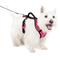 Show in main carousel: PetSafe EasySport Nylon Reflective Back Clip Dog Harness, Pink, Small: 21 to 27-in chest slide 1 of 12