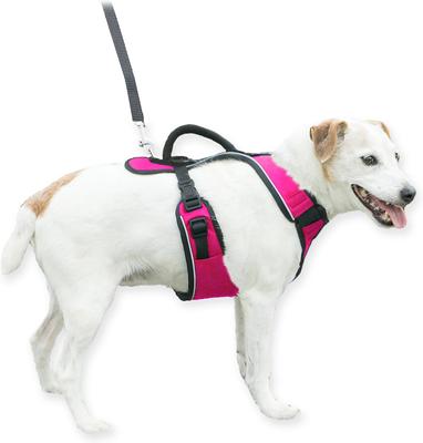 Show full view: PetSafe EasySport Nylon Reflective Back Clip Dog Harness, Pink, Small: 21 to 27-in chest slide 7 of 12