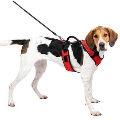 PetSafe PetSafe EasySport Nylon Reflective Back Clip Dog Harness, Red, Large: 29 to 43-in chest