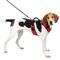 Show in main carousel: PetSafe EasySport Nylon Reflective Back Clip Dog Harness, Red, Large: 29 to 43-in chest slide 1 of 12
