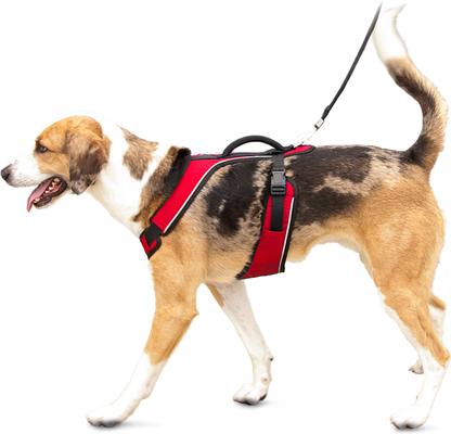 Show full view: PetSafe EasySport Nylon Reflective Back Clip Dog Harness, Red, Large: 29 to 43-in chest slide 7 of 12