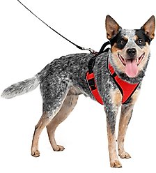PetSafe EasySport Nylon Reflective Back Clip Dog Harness, Red, Medium: 26 to 32-in chest