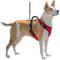 Show in main carousel: PetSafe EasySport Nylon Reflective Back Clip Dog Harness, Red, Medium: 26 to 32-in chest slide 7 of 12