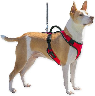 Show full view: PetSafe EasySport Nylon Reflective Back Clip Dog Harness, Red, Medium: 26 to 32-in chest slide 7 of 12