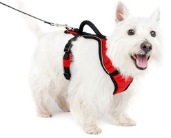 PetSafe EasySport Nylon Reflective Back Clip Dog Harness, Red, Small: 21 to 27-in chest