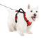 Show in main carousel: PetSafe EasySport Nylon Reflective Back Clip Dog Harness, Red, Small: 21 to 27-in chest slide 1 of 12