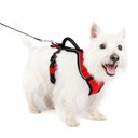 PetSafe EasySport Nylon Reflective Back Clip Dog Harness, Red, Small: 21 to 27-in chest
