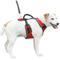Show in main carousel: PetSafe EasySport Nylon Reflective Back Clip Dog Harness, Red, Small: 21 to 27-in chest slide 7 of 12