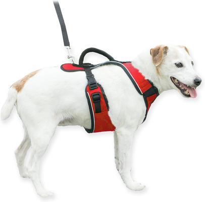 Show full view: PetSafe EasySport Nylon Reflective Back Clip Dog Harness, Red, Small: 21 to 27-in chest slide 7 of 12