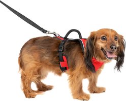 PetSafe EasySport Nylon Reflective Back Clip Dog Harness, Red, X-Small: 16 to 22-in chest