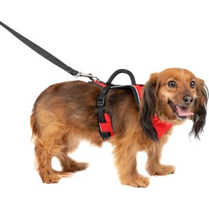 PetSafe 3 In 1 Harness And Car Restraint, Sall, Plu, No Pull