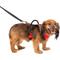 Show in main carousel: PetSafe EasySport Nylon Reflective Back Clip Dog Harness, Red, X-Small: 16 to 22-in chest slide 1 of 12