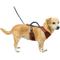 Show in main carousel: PetSafe EasySport Nylon Reflective Back Clip Dog Harness, Red, X-Small: 16 to 22-in chest slide 7 of 12