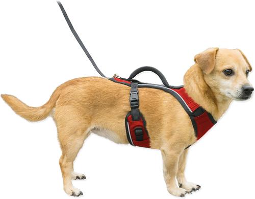 Show full view: PetSafe EasySport Nylon Reflective Back Clip Dog Harness, Red, X-Small: 16 to 22-in chest slide 7 of 12