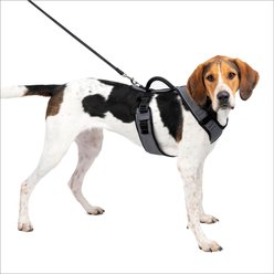 PetSafe EasySport Nylon Reflective Dog Harness, Charcoal, Large: 29 to 43-in chest